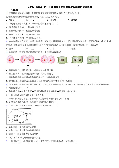 人教版(七年级)初一上册期末生物非选择综合题测试题及答案