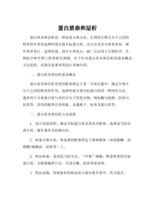 蛋白质亲和层析