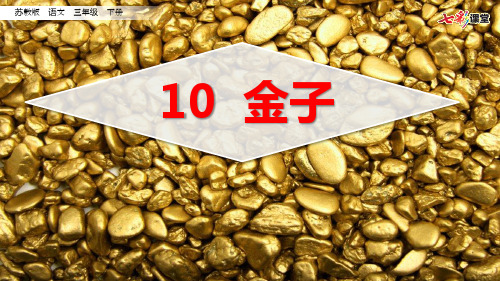 三年级下册语文《10 金子》课件 苏教版