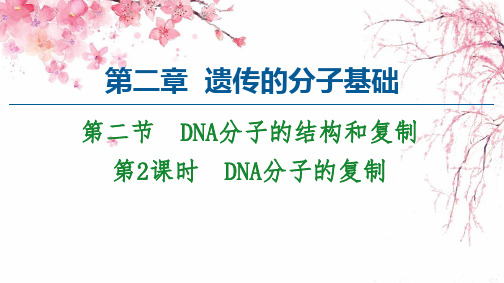 2021-2022学年高中新教材苏教版生物必修2课件：第2章 第2节 第2课时 DNA分子的复制