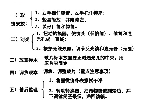 显微镜结构图及使用方法ppt课件