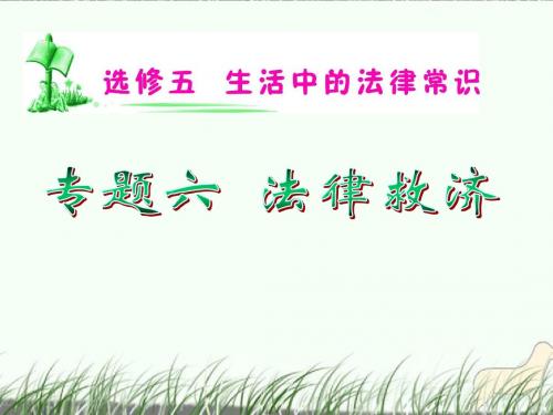 湖南省高考政治复习 专题6 法律救济课件 新人教版选修5