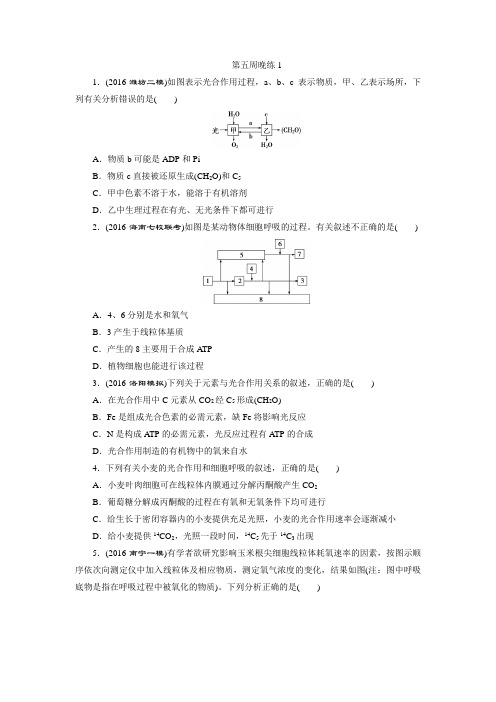 广东省佛山市高明区第一中学2017届高三生物：第五周晚练1 Word版缺答案