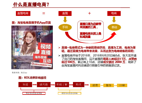 新零售直播电商发展分析