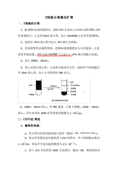 T细胞培养——精选推荐