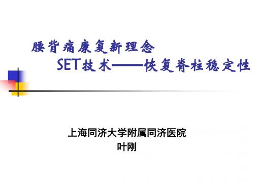 腰背痛运动康复新进展SET技术