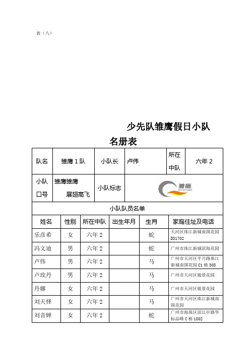 少先队雏鹰小队活动记录册