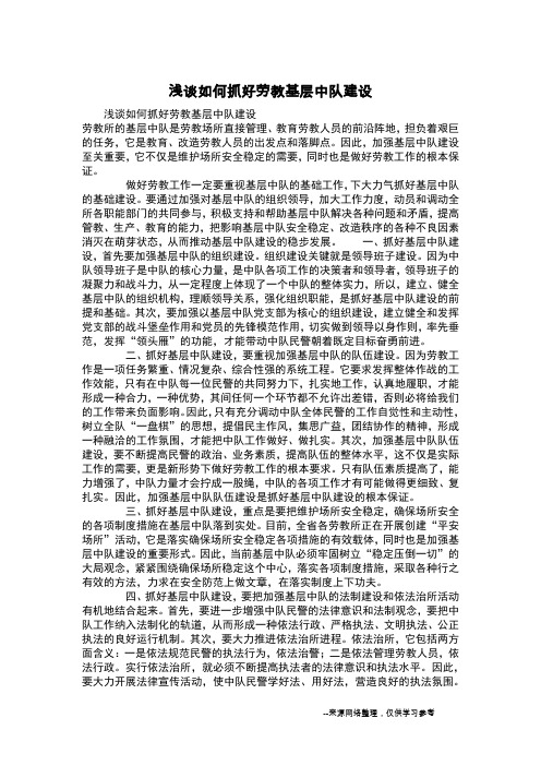 浅谈如何抓好劳教基层中队建设