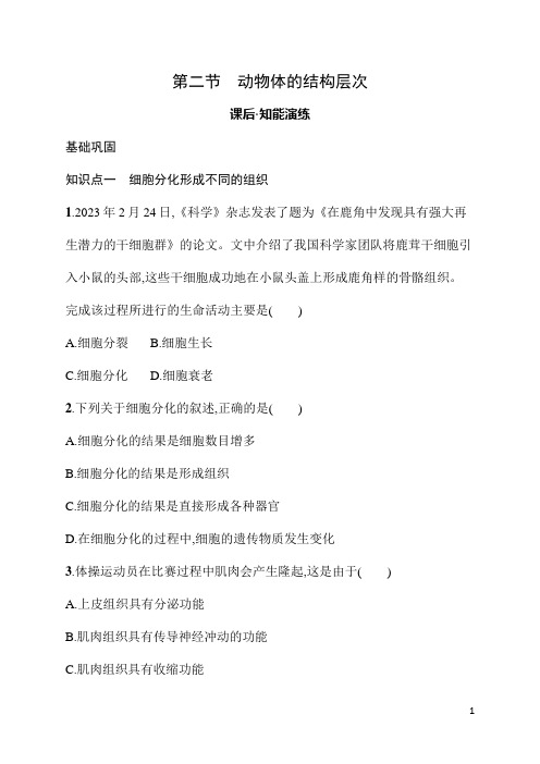 3.2动物体的结构层次 同步练习 人教版(2024)生物七年级上册