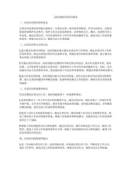 法院刑庭自查自纠报告