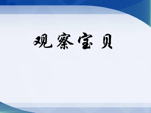 《观察宝贝》走进科学 PPT实用课件3