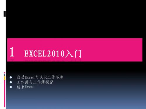 excel2010