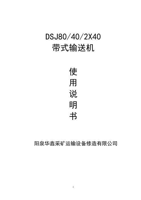 DSJ80使用说明书