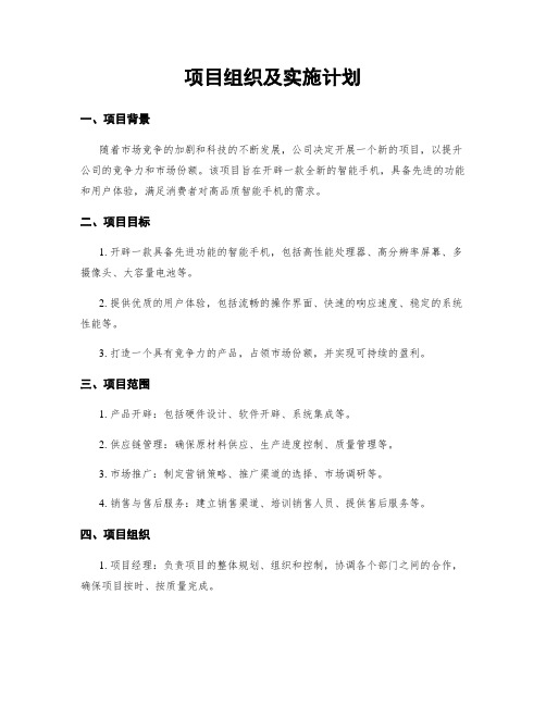 项目组织及实施计划