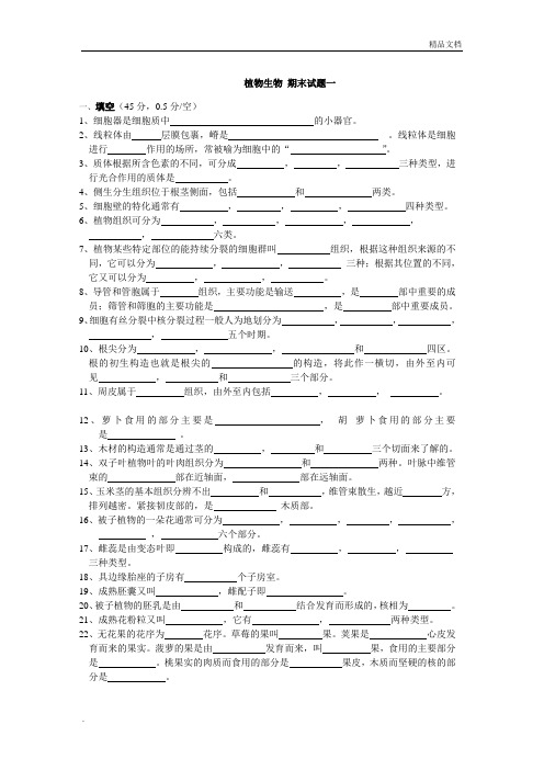 植物生物期末试题