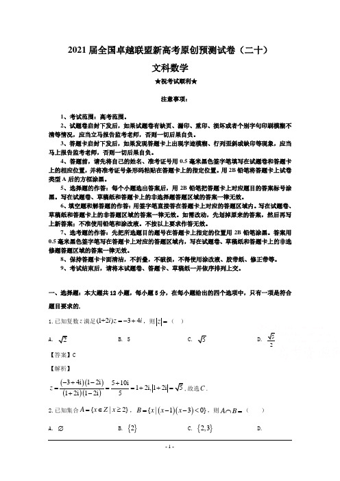 2021届全国卓越联盟新高考原创预测试卷(二十)文科数学