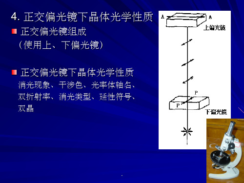 正交偏光镜下晶体光学性质ppt课件