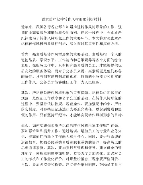 强素质严纪律转作风树形象剖析材料