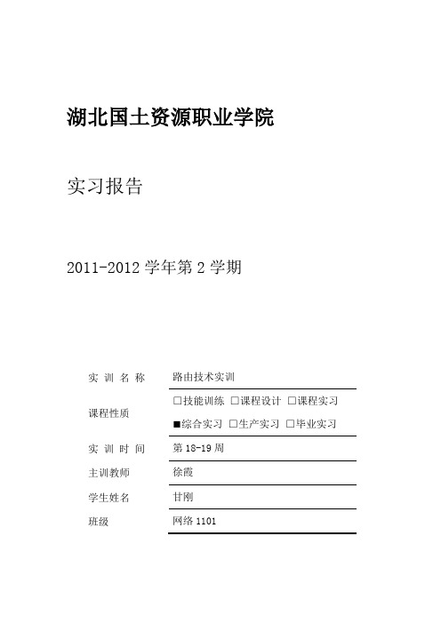 路由技术实训报告