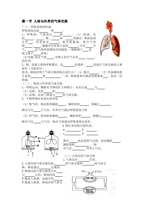 人体与外界的气体交换知识点 (1)