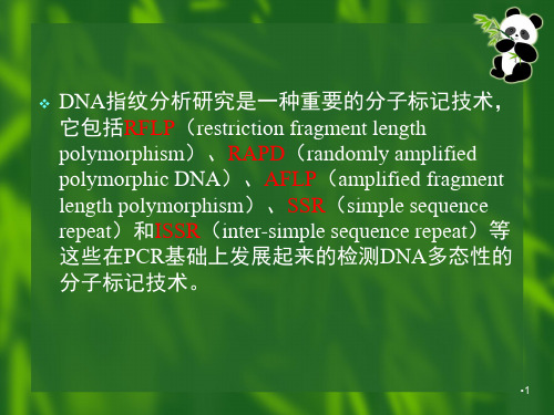 分子标记技术PPT课件