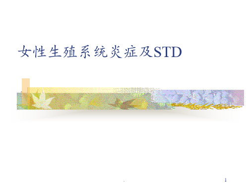 女性生殖系统炎症及STD(2)