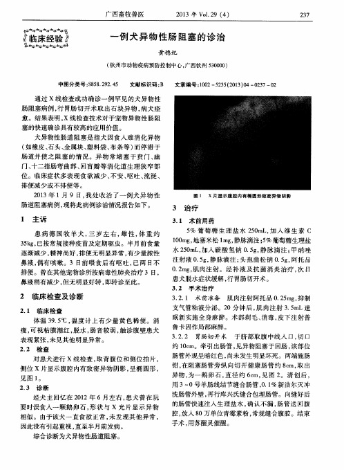 一例犬异物性肠阻塞的诊治