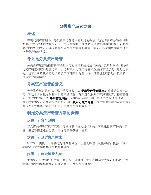 分类资产运营方案