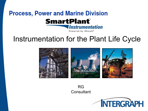 SmartPlant Instrumentation