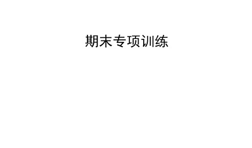 人教版七年级英语上册期末复习专项四 阅读理解专训