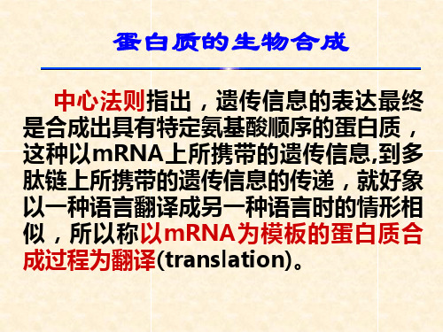 蛋白质的生物合成PPT课件