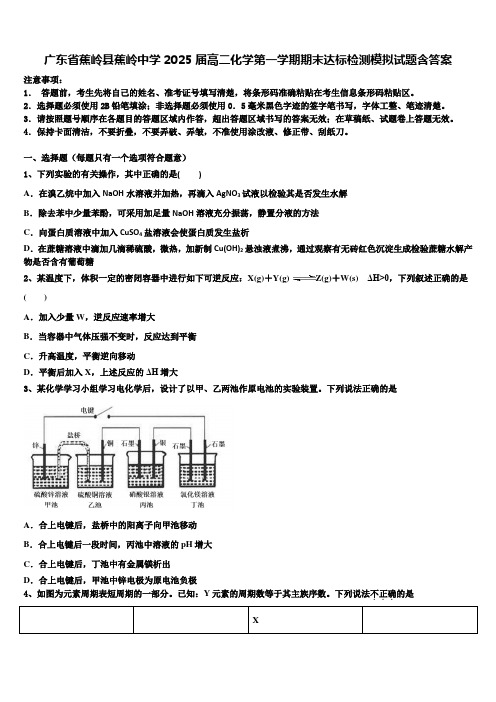 广东省蕉岭县蕉岭中学2025届高二化学第一学期期末达标检测模拟试题含答案