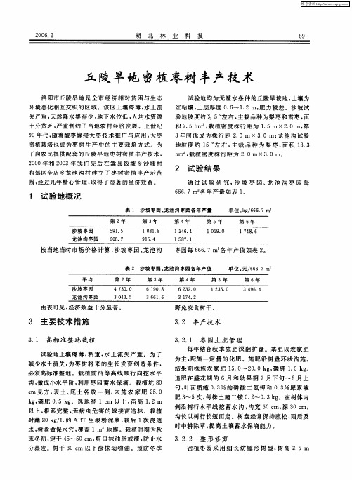 丘陵旱地密植枣树丰产技术