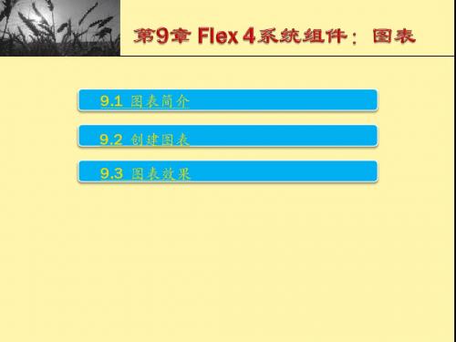 第9章 Flex 4系统组件：图表