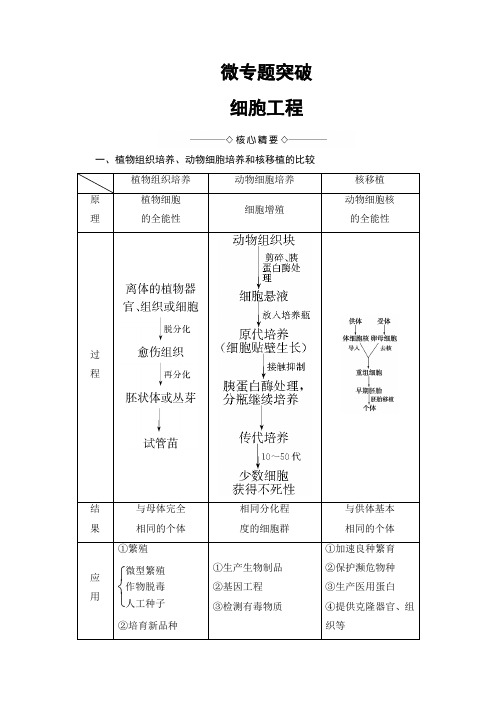 2018版高中生物(人教版)选修3同步教师用书:专题2 微专题突破 细胞工程