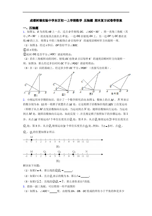 成都树德实验中学东区初一上学期数学 压轴题 期末复习试卷带答案