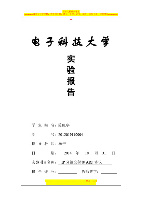 电子科技大学_TCPIP实验一_IP分组交付和ARP协议_实验报告