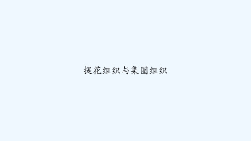 提花组织与集圈组织 PPT