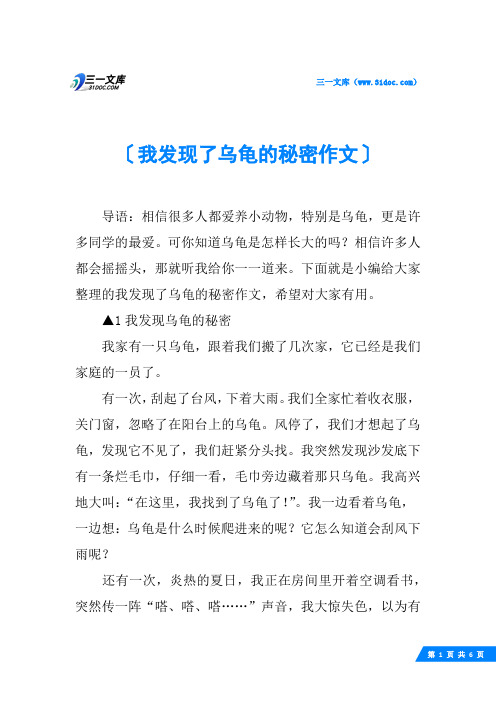 我发现了乌龟的秘密作文