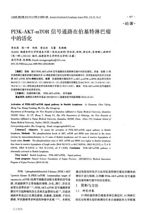 PI3K-AKT-mTOR信号通路在伯基特淋巴瘤中的活化要点