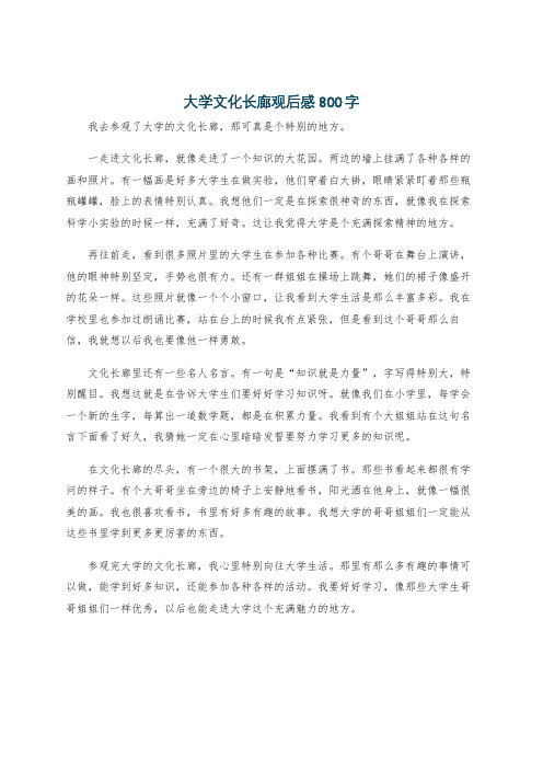 大学文化长廊观后感800字