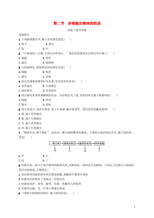 七年级生物上册第2单元第4章生物体的组成第二节多细胞生物体的组成课后习题新版苏教版