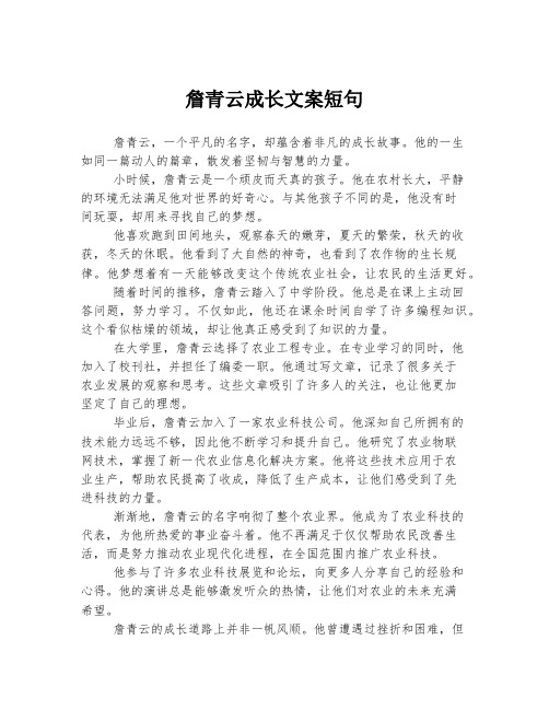 詹青云成长文案短句