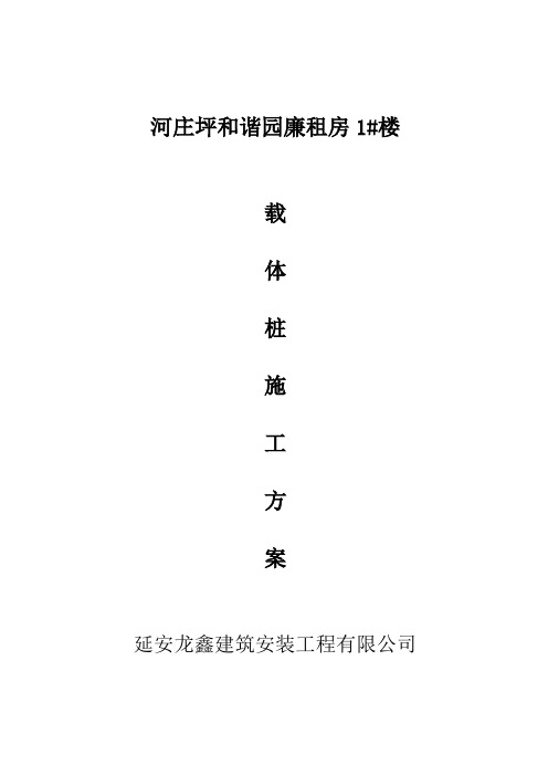 载体桩方案