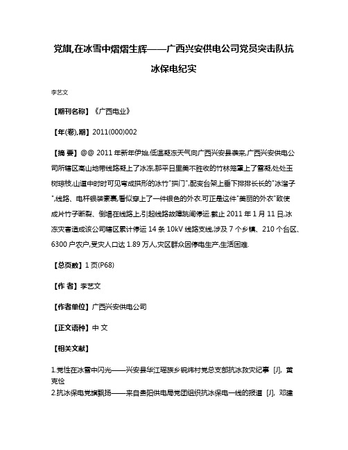 党旗,在冰雪中熠熠生辉——广西兴安供电公司党员突击队抗冰保电纪实