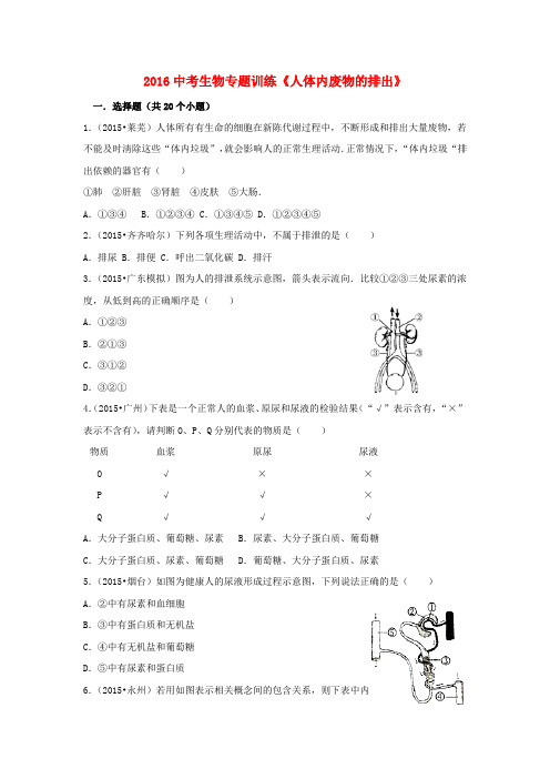 2016年中考生物 专题训练《人体内废物的排出》