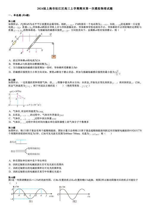 2024届上海市松江区高三上学期期末第一次模拟物理试题