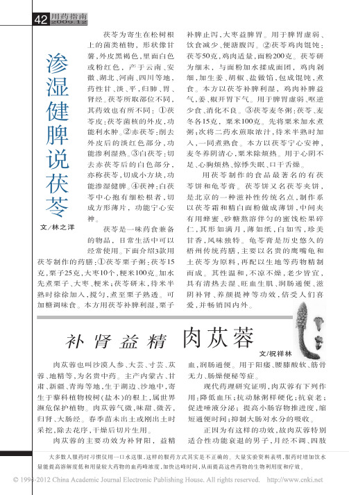补肾益精肉苁蓉