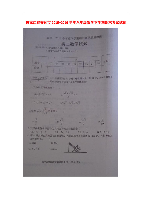 黑龙江省安达市八年级数学下学期期末考试试题(扫描版)