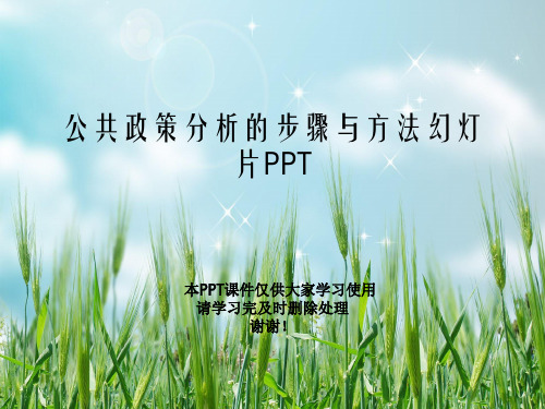 公共政策分析的步骤与方法幻灯片PPT